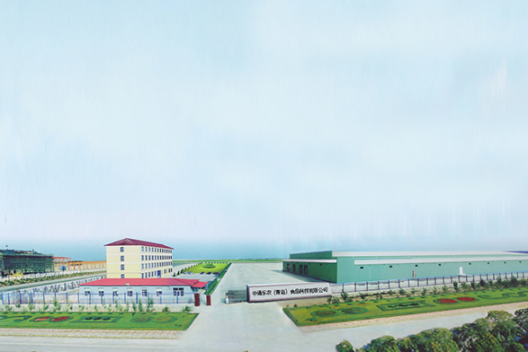 Factory Showcase