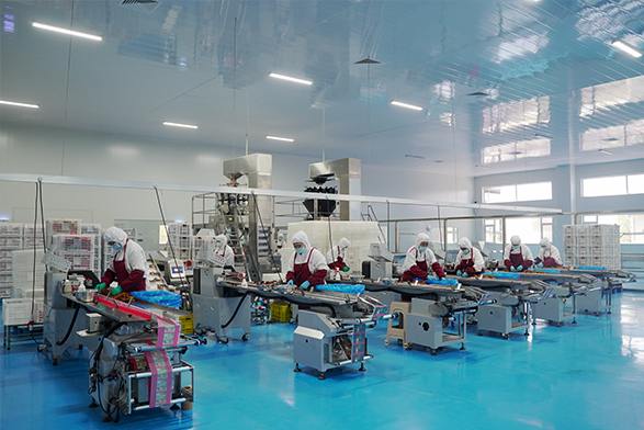 Factory Showcase