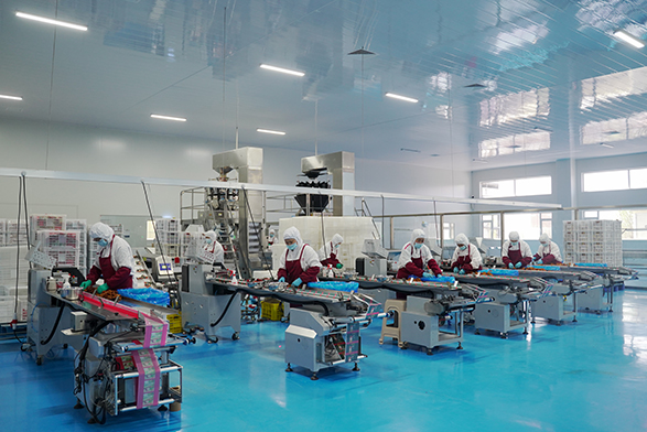 Factory Showcase
